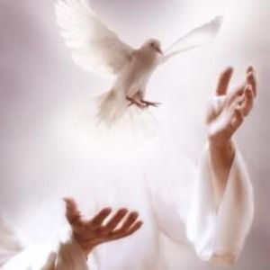 Meet your Posher, Yenny